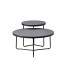 IF-2621 Set of 2 Coffee Tables (Online Only)