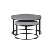 IF-2631 Set of 2 Coffee Tables (Online Only)