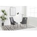 C-1250 Grey Velvet Dining Chair with Lion Knocker. SALE JUST SET OF 2 CHAIRS (Online only) C-1250 Grey Velvet Dining Chair with Lion Knocker. SALE JUST SET OF 2 CHAIRS (Online only)